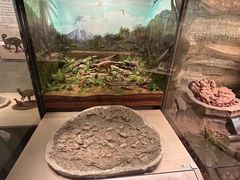 -辽宁古生物博物馆