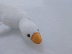 -正佳冰河湾真冰滑冰场