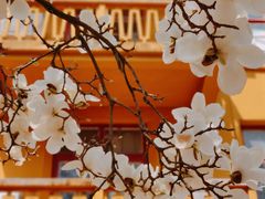 -杭州上天竺法喜讲寺