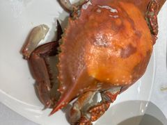 -北塘海鲜·天津菜(大光明桥旗舰店)