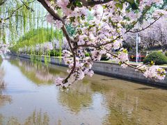 -海棠花溪(元大都城垣遗址公园)