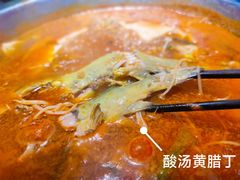 -老凯俚酸汤鱼(鸿通城店)