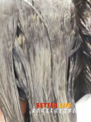 -可可丽舍