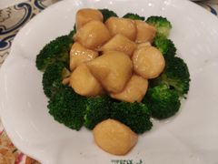 西蓝花豆腐-阿拉丁新疆风味餐厅·清真(罗廊巷店)