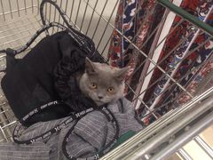 -康乐宝动物医院