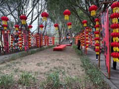 -丰都鬼城名山景区
