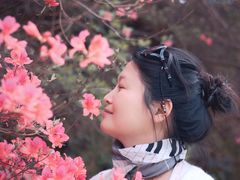 -木兰云雾山