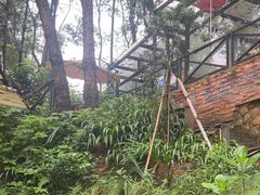 -宅里香.自然餐厅(湘大店)