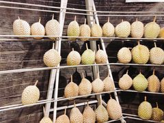 -都念榴莲·城市榴莲