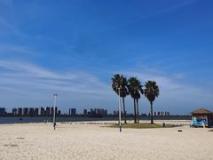 -柳湖沙月沙滩公园