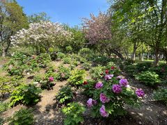 -江南大学(蠡湖校区)