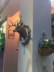 -HANYI韩艺形象店