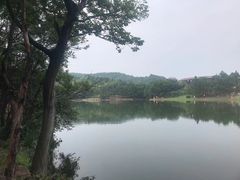 -南京市无想山景区