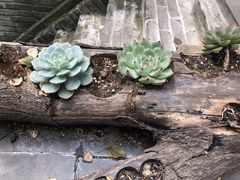 -鱼桥巷·美学川菜