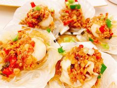 鲜活扇贝-青石桥市场北1-27号