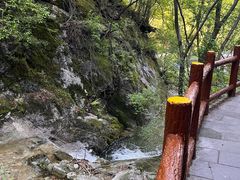 -王顺山国家森林公园
