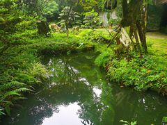 -南山植物园