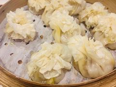 -老阿妈蒙古村·蒙古包·草原文化·歌舞表演(老君堂店)