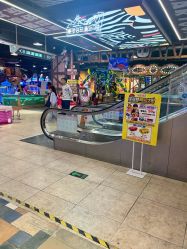 -卡通尼·Safari非洲探索乐园·生日会(金桥国际商业广场店)