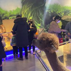 -未来动物城动物主题公园(大悦城店)
