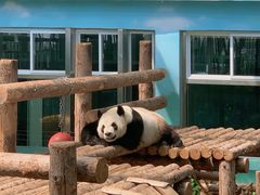 -大连森林动物园