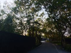 -木守西溪溪隐餐厅