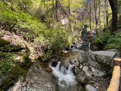 -王顺山国家森林公园