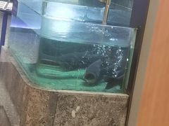 -鱼你相聚·河鲜馆(袁家岭店)