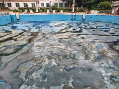 -南宁良凤江国家森林公园