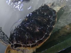 -台州海洋世界