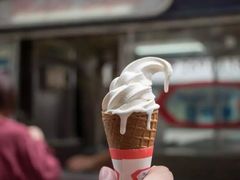 -富豪雪糕车流动点(尖沙咀店)