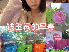 -钱王祠