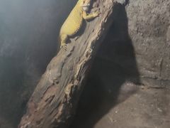 -青青世界