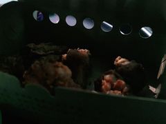 -阿捡忭京炸鸡(韭菜园总店)