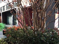 -必胜客(上海华谊新所店)