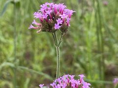 -上海植物园-4号门售票处