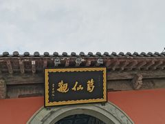 -葛仙湖公园
