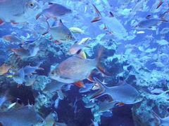 -成都浩海立方海洋公园