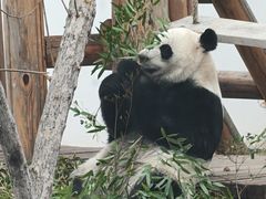 -无锡动物园·太湖欢乐园