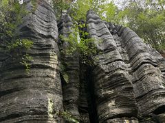 -梭布垭石林景区