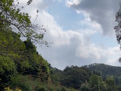 -深圳仙湖植物园