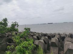 -上海滨江森林公园