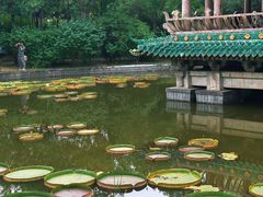 -迎泽公园