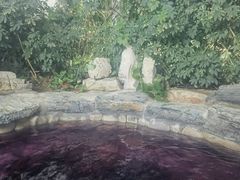 -中家鑫园温泉酒店鑫悦汤泉