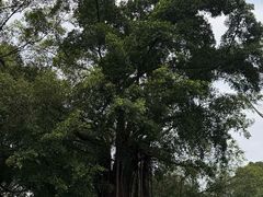 -南宁南湖公园