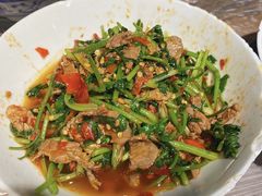 -壹盏灯(惠农店)