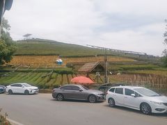 -听风阁农家私房菜茶楼(龙坞店)
