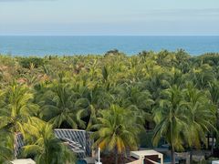 -三亚海棠湾喜来登度假酒店