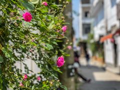 -金山嘴渔村
