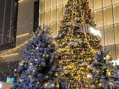 -东莞松山湖万象汇